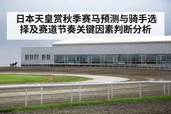 Kyoto racecourse horse racing